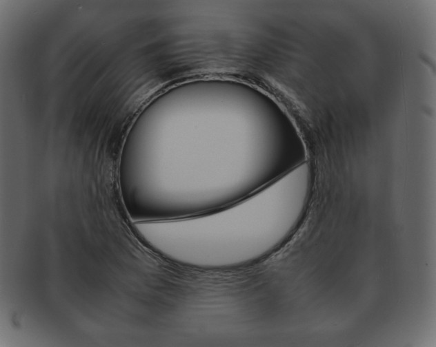 X0000093161169200709261030