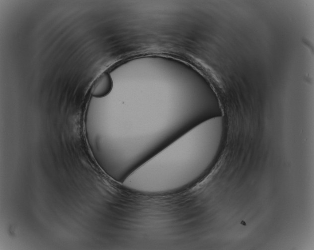 X0000093161170200709261030