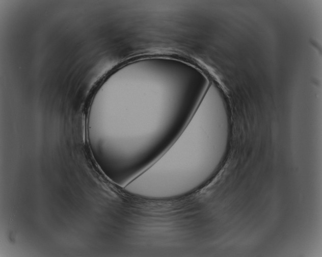 X0000093161171200709261030