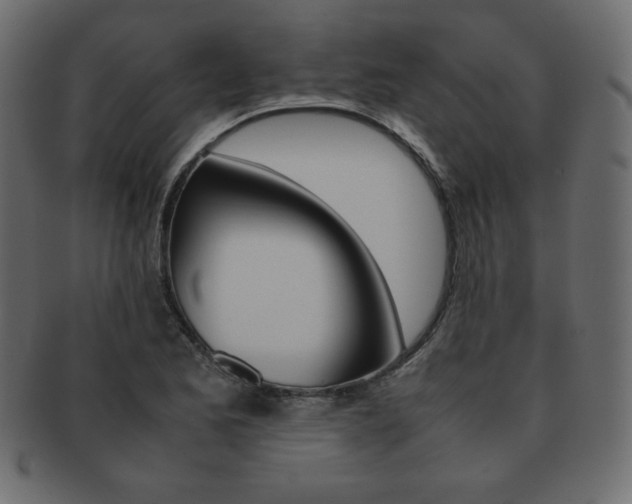 X0000093161173200709261030