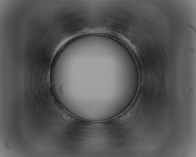 X0000093161174200709261030