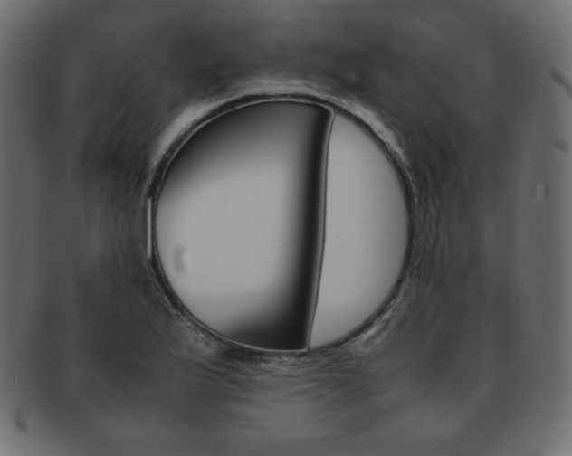 X0000093161175200709261030