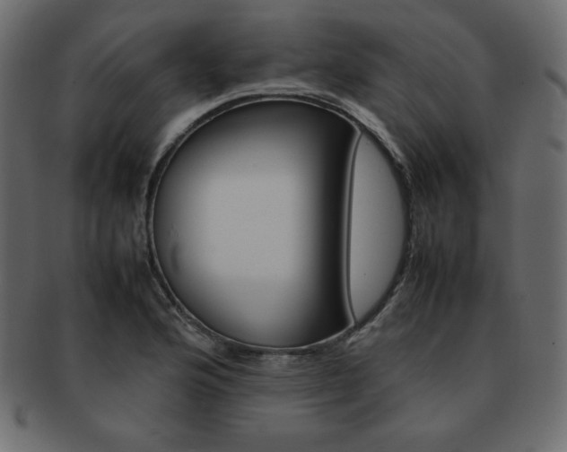 X0000093161176200709261030