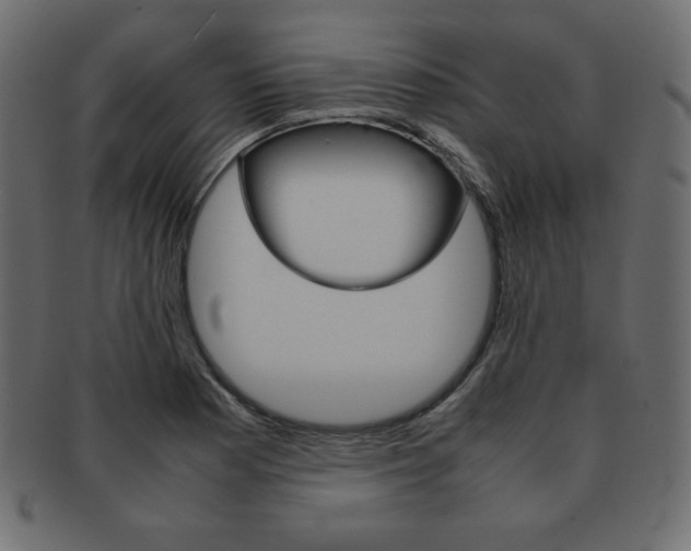 X0000093161177200709261030