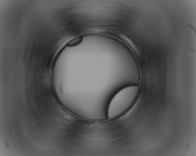 X0000093161178200709261030