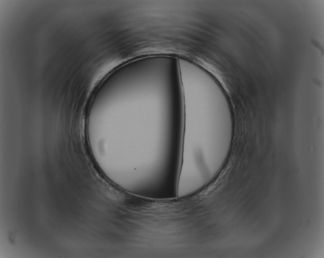 X0000093161179200709261030