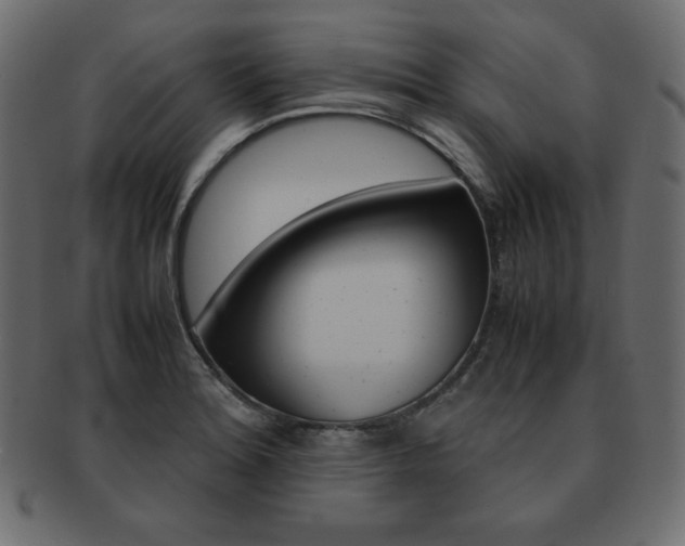 X0000093161180200709261030