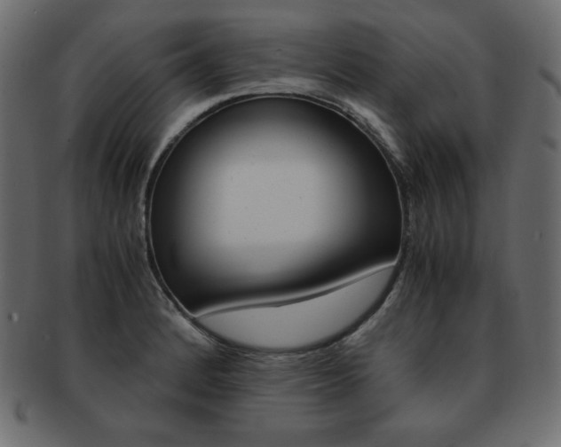 X0000093161184200709261030