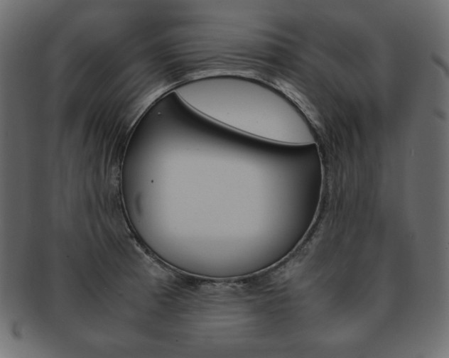 X0000093161185200709261030