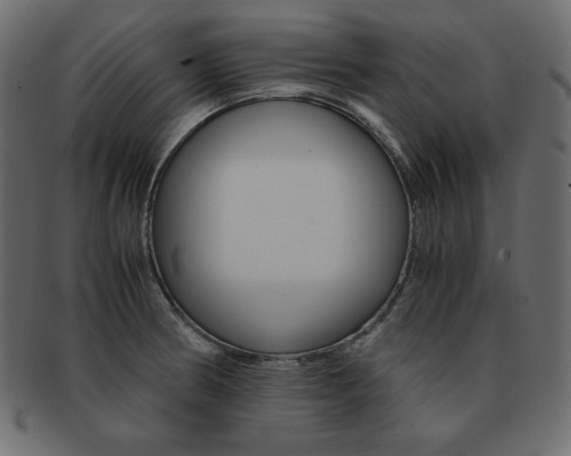 X0000093161186200709261030