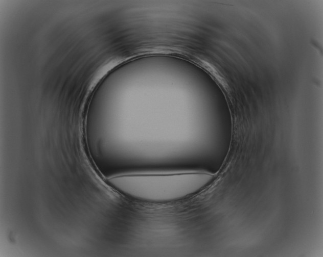 X0000093161187200709261030
