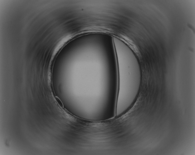 X0000093161188200709261030
