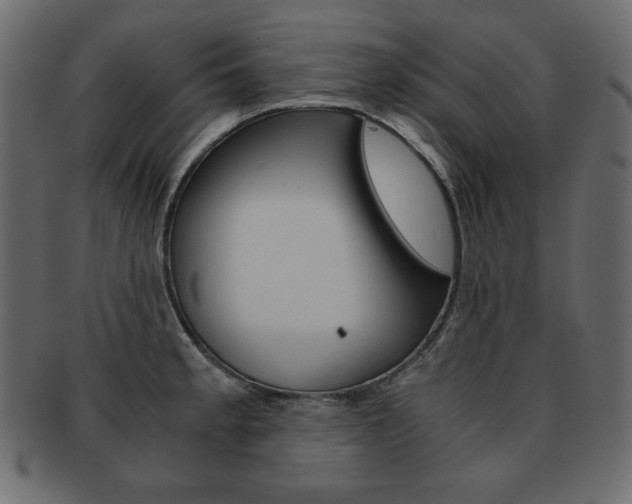 X0000093161189200709261030