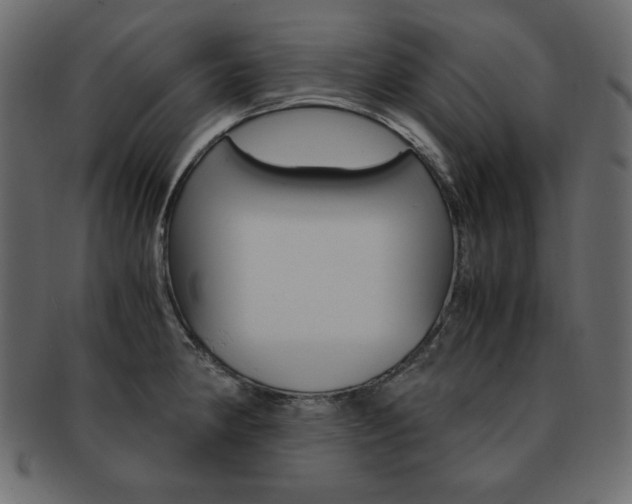 X0000093161190200709261030
