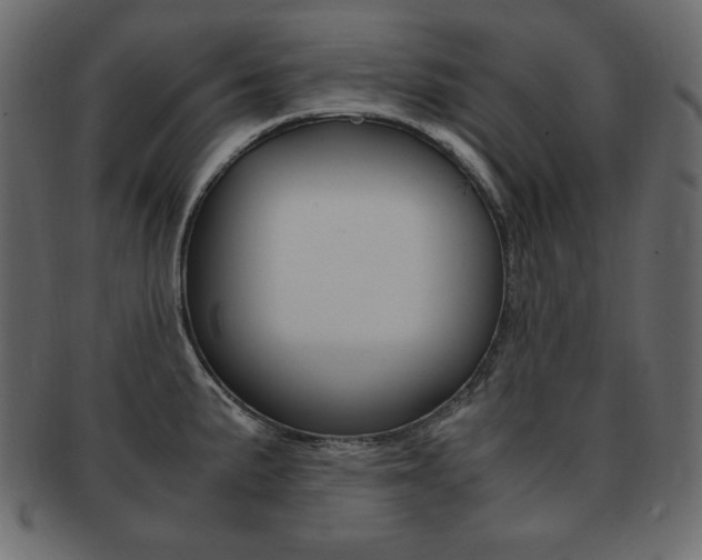 X0000093161191200709261030