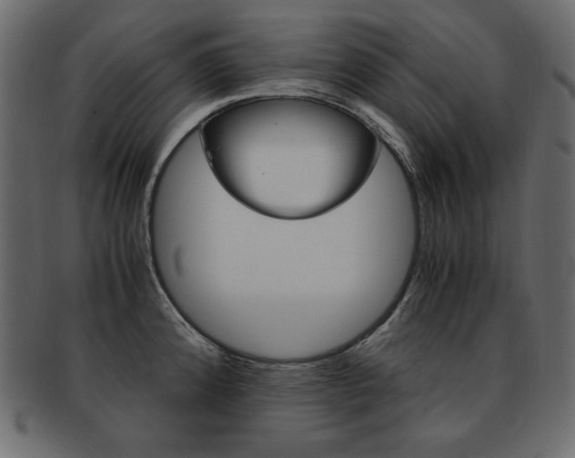 X0000093161192200709261030