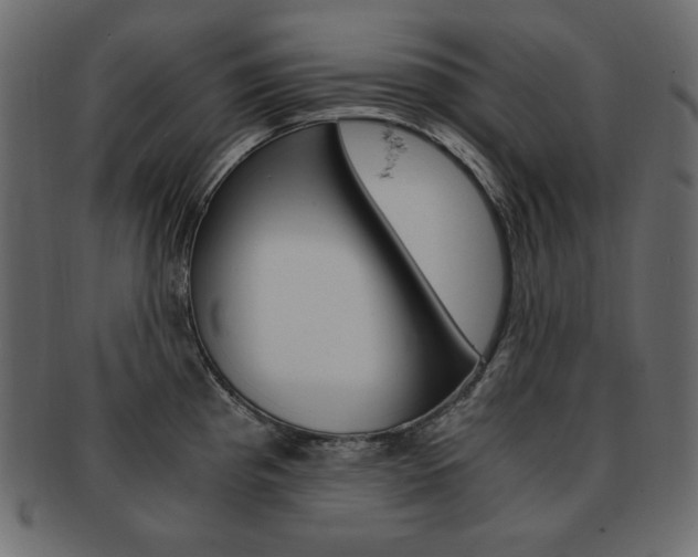 X0000093161193200709261030