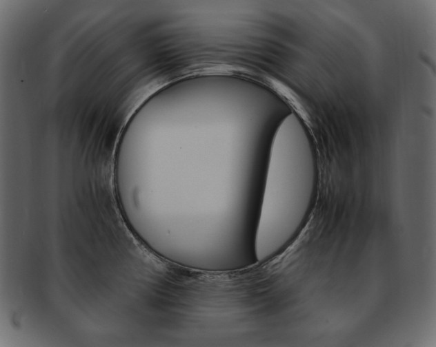 X0000093161194200709261030