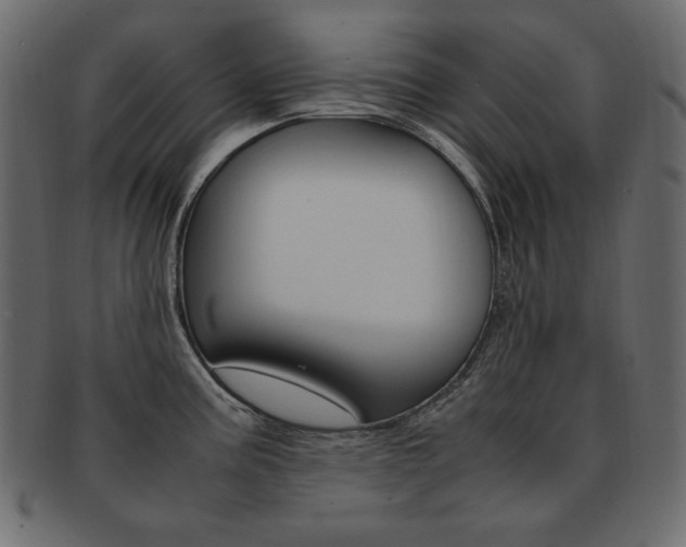 X0000093161195200709261030