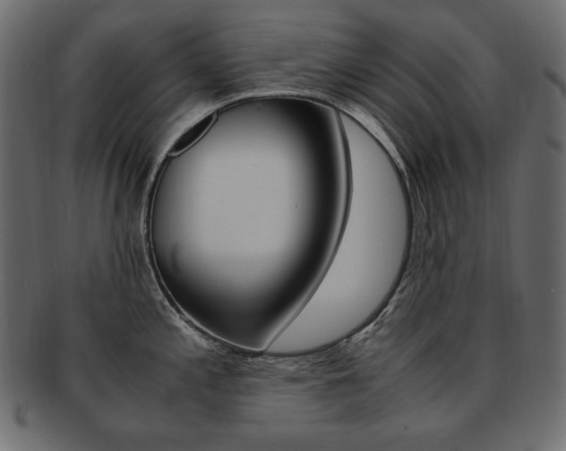 X0000093161197200709261030