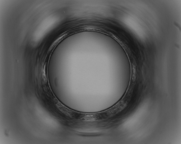 X0000093161198200709261030