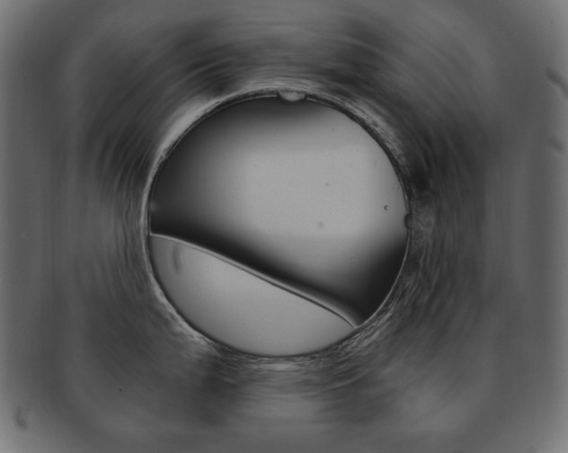 X0000093161199200709261030