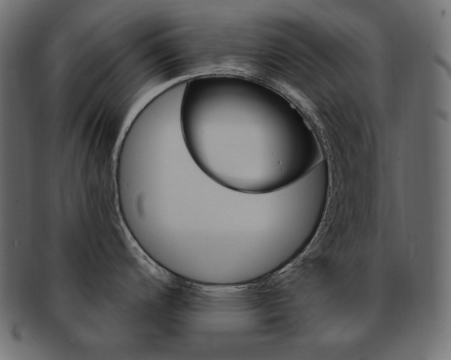 X0000093161200200709261029
