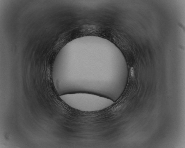X0000093161203200709261029
