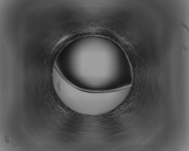 X0000093161206200709261029