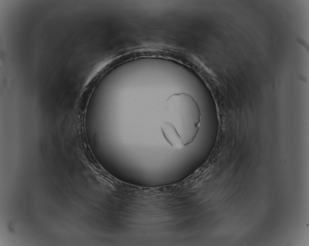 X0000093161208200709261029