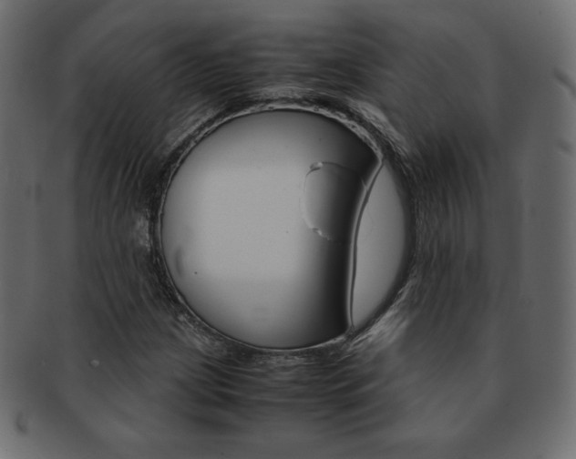 X0000093161209200709261029