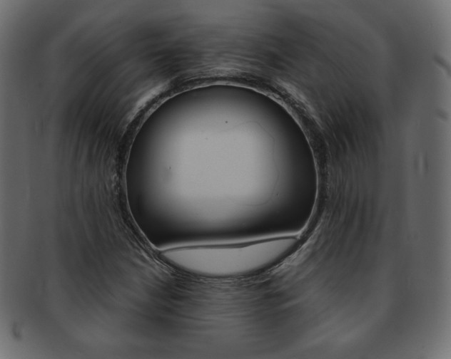 X0000093161210200709261029
