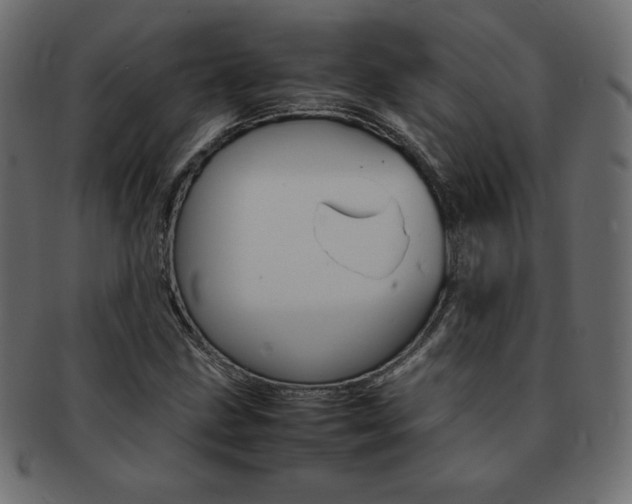 X0000093161211200709261029