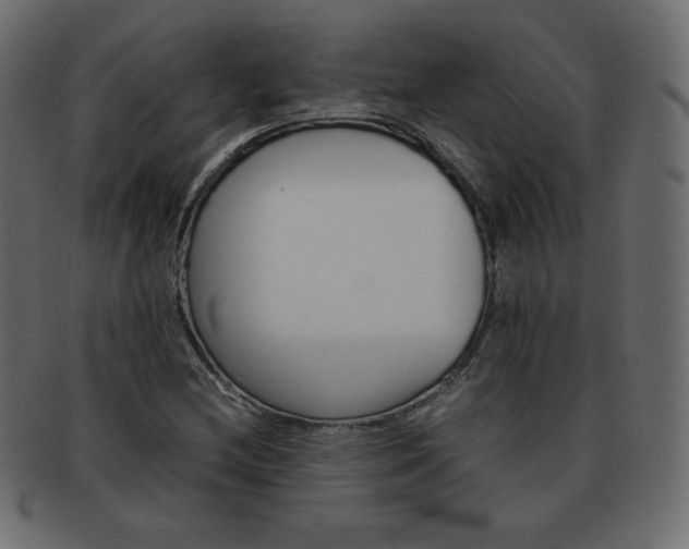 X0000093161212200709261029