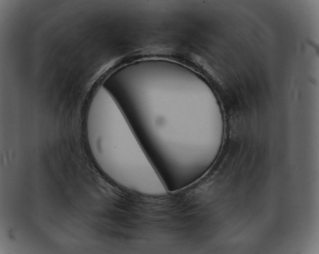 X0000093161213200709261029