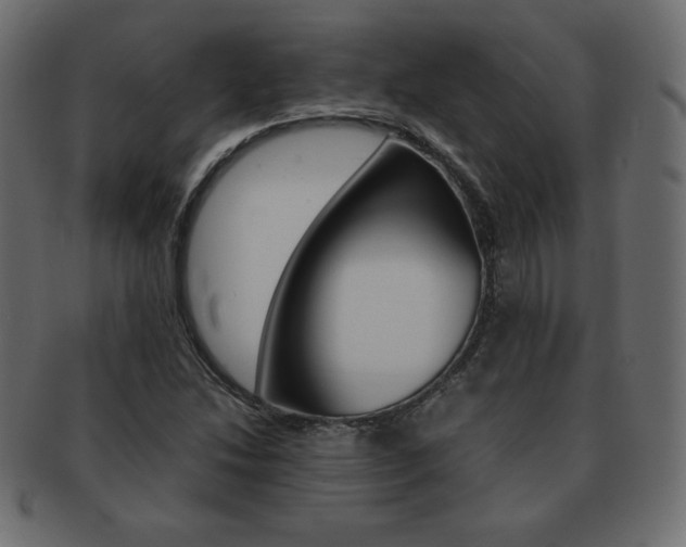 X0000093161214200709261029