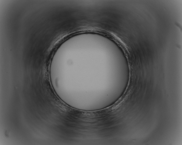 X0000093161215200709261029