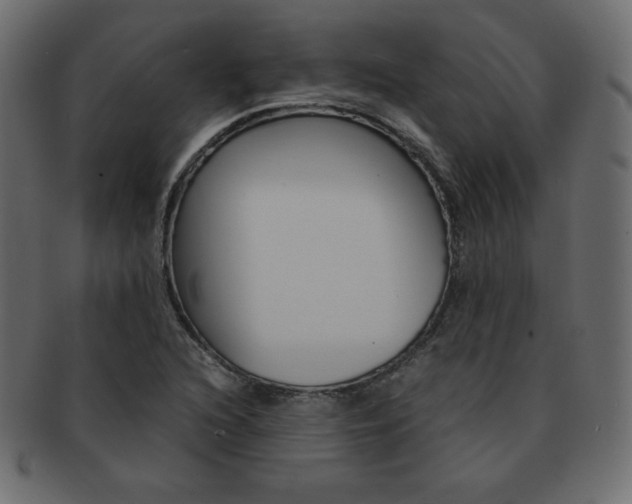 X0000093161216200709261029
