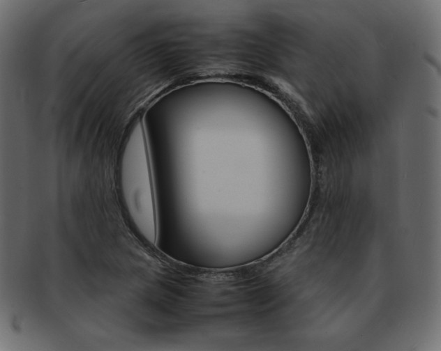 X0000093161217200709261029