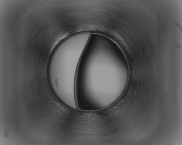 X0000093161218200709261029