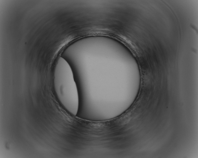 X0000093161219200709261029