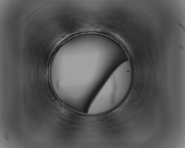 X0000093161220200709261029