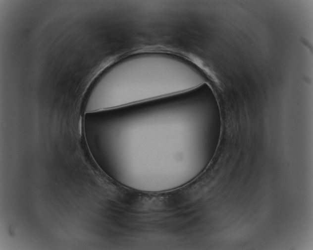 X0000093161221200709261029