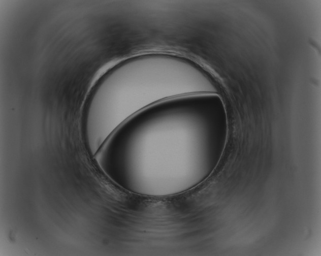 X0000093161222200709261029
