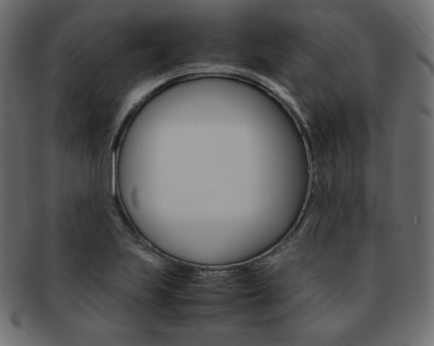 X0000093161223200709261029