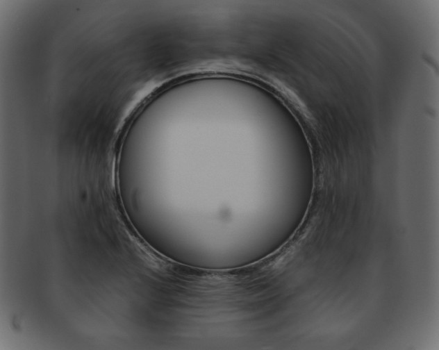 X0000093161224200709261029