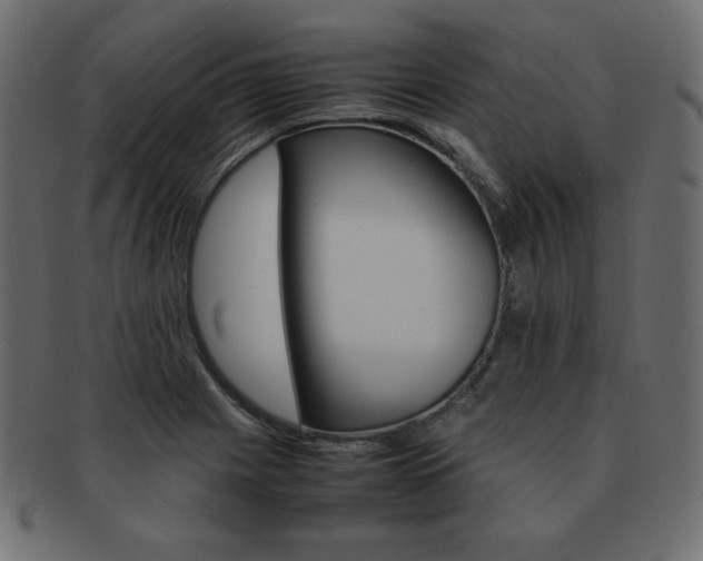X0000093161225200709261029