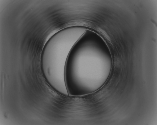 X0000093161226200709261029