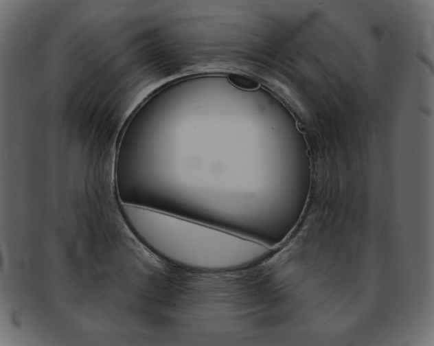X0000093161228200709261029