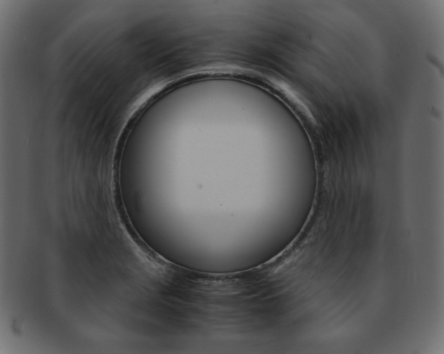 X0000093161229200709261029